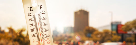 UK Heatwave: Why Now Is the Perfect Time to Add Gelato to Your Hospitality Business