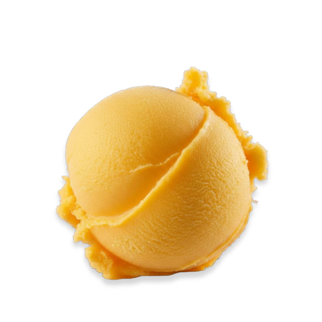 Orange Sorbet (4.5L)